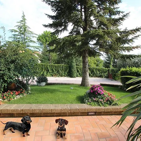 Ines * Potenza Picena